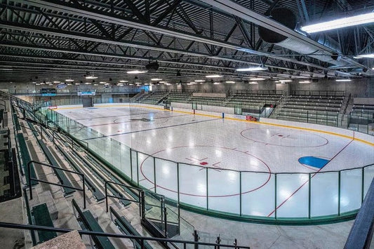 Indoor Ice Time for Twig Skaters