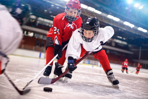 2025-26 Twig Squirt B2 Tournament
